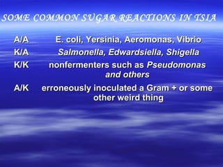 A/AA/A E. coli, Yersinia, Aeromonas, VibrioE. coli, Yersinia, Aeromonas, Vibrio
K/AK/A Salmonella, Edwardsiella, ShigellaSalmonella, Edwardsiella, Shigella
K/KK/K nonfermenters such asnonfermenters such as PseudomonasPseudomonas
and othersand others
A/KA/K erroneously inoculated a Gram + or someerroneously inoculated a Gram + or some
other weird thingother weird thing
SOME COMMON SUGAR REACTIONS IN TSIA
 