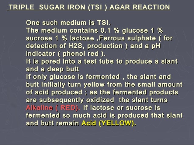 Triple sugar iron (tsi ) agar reaction