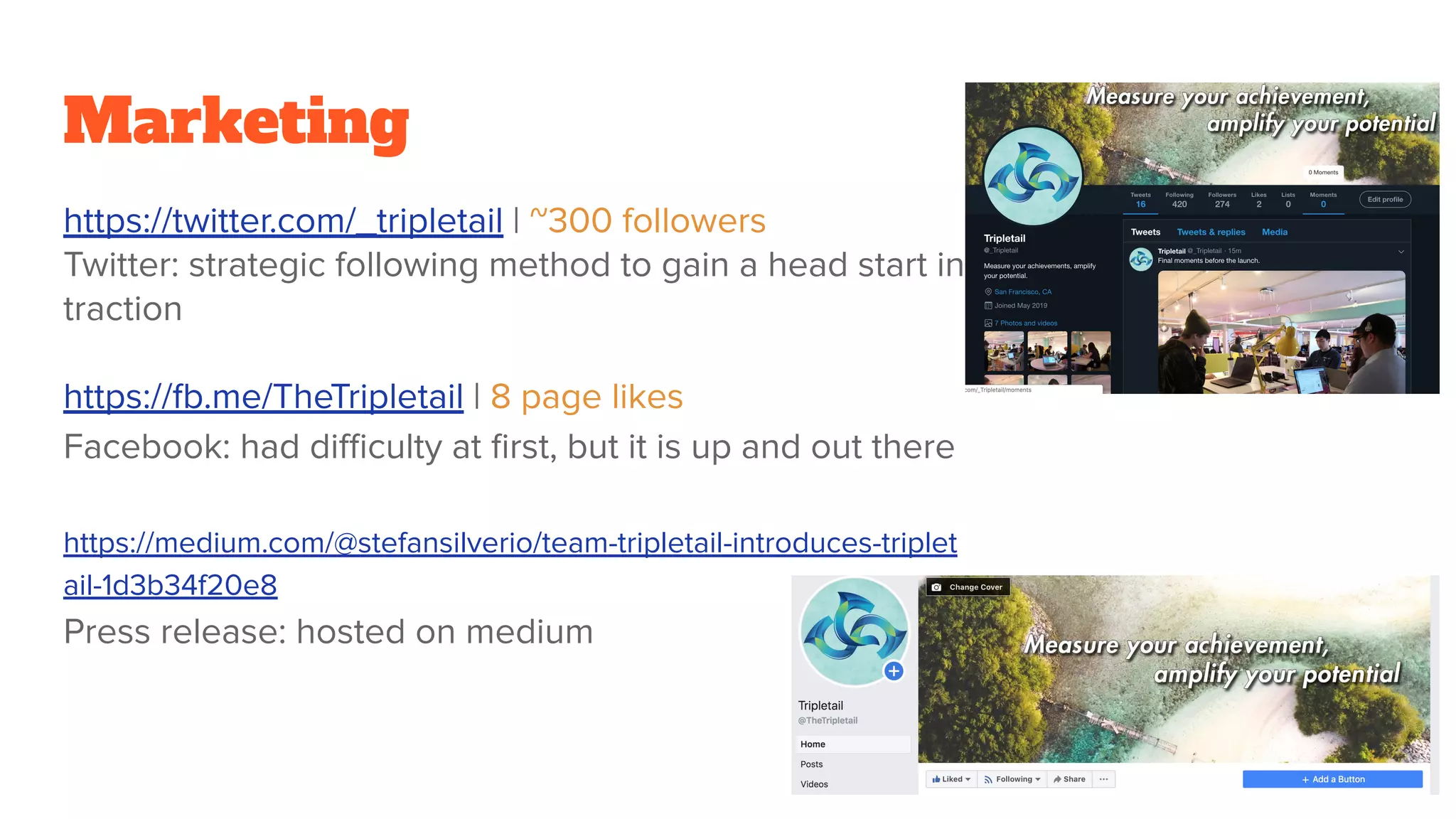 Marketing
https://twitter.com/_tripletail | ~300 followers
Twitter: strategic following method to gain a head start in
traction
https://fb.me/TheTripletail | 8 page likes
Facebook: had diﬃculty at ﬁrst, but it is up and out there
https://medium.com/@stefansilverio/team-tripletail-introduces-triplet
ail-1d3b34f20e8
Press release: hosted on medium
 