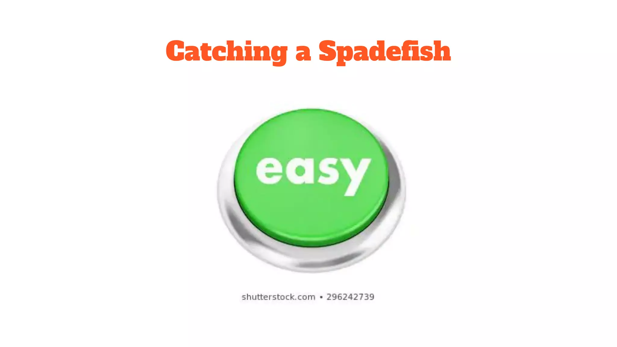 Catching a Spadeﬁsh
 