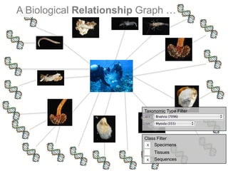 A Biological Relationship Graph …




                          Taxonomic Type Filter




                          Class Filter
                           X  Specimens
                               Tissues
                           X   Sequences
 