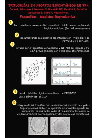 TRIPLOIDÍAS EN ABORTOS ESPONTÁNEOS DE TRA
Coco R, Mincman J, Medrano S, Ducatelli ME, Venditti A, Perotti A,
Nesupiller S, Gallo A, Neuspiller N.
Fecunditas- Medicina Reproductiva-
1
La triploidía es una anomalía cromosómica letal con un complemento
haploide adicional (3n = 69 cromosomas).
2
Documentamos seis abortos espontáneos con triploidía, 4 de
FIV/ICSI y 2 por IIU.
3
Estudio por citogenética convencional y QF-PCR del legrado y VC
ó LA previo al mismo con STRs para 15 cromosomas
4 Las 4 triploidías díginicas resultaron de FIV/ICSI.
Las 2 diándricas de IIU
5
Ninguna de las transferencias embrionarias provenía de cigotas
tripronucleadas. Si bien la aparición de pronúcleos puede ser
asincrónica, en dos de los casos al re-examinar los videos se
evidenciaron tres cuerpos polares y dos pronúcleos asimétricos.