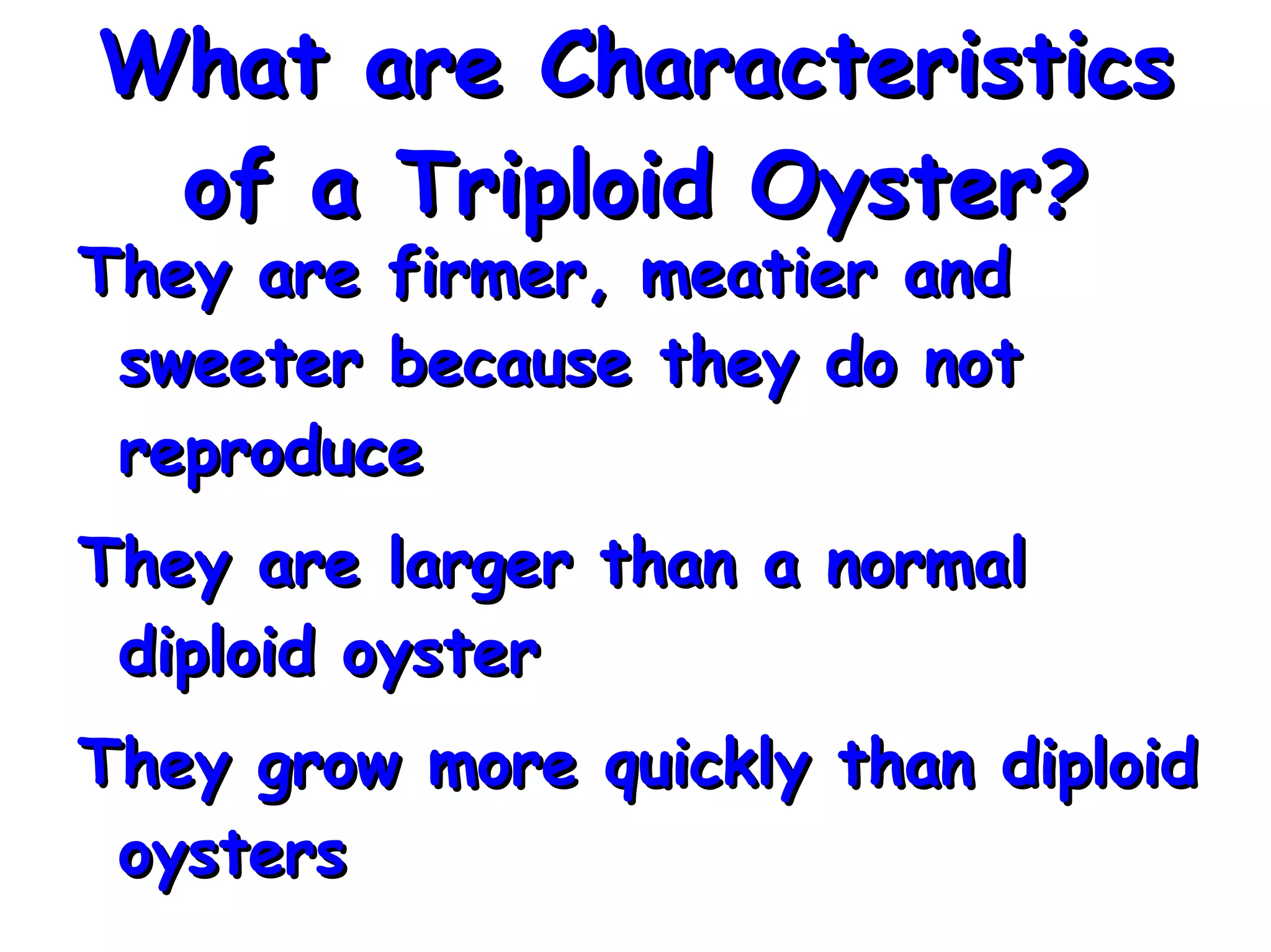 Triploid Oyster PPT