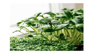 Thankyou
 
