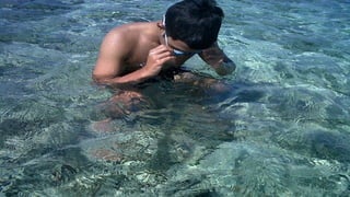 Snorkeling Gratisan
 