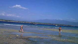 Pantai Surut
 