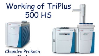 Working of TriPlus
500 HS
Chandra Prakash
 