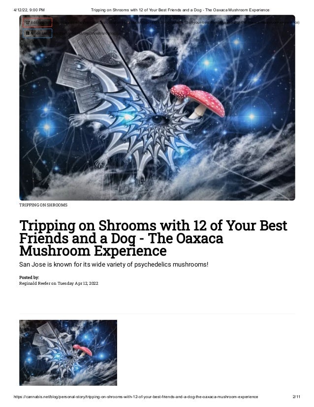 4/12/22, 9:00 PM Tripping on Shrooms with 12 of Your Best Friends and a Dog - The Oaxaca Mushroom Experience
https://cannabis.net/blog/personal-story/tripping-on-shrooms-with-12-of-your-best-friends-and-a-dog-the-oaxaca-mushroom-experience 2/11
TRIPPING ON SHROOMS
Tripping on Shrooms with 12 of Your Best
Friends and a Dog - The Oaxaca
Mushroom Experience
San Jose is known for its wide variety of psychedelics mushrooms!
Posted by:

Reginald Reefer on Tuesday Apr 12, 2022
 Edit Article (https://cannabis.net/mycannabis/c-blog-entry/update/tripping-on-shrooms-with-12-of-your-best-friends-and-a-dog-the-oaxaca-mushroom-experience)
 Article List (https://cannabis.net/mycannabis/c-blog)
 