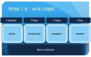 Крећемо!
Игра 1.6 – шта спаја?
резус капуцинер мандрил макаки
Врсте мајмуна
5 бодова 3 бода 2 бода 1 бод
 
