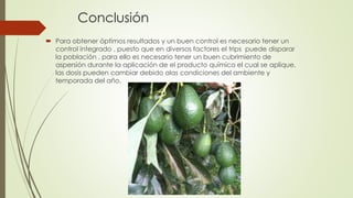 Conclusión
 Para obtener óptimos resultados y un buen control es necesario tener un
control integrado , puesto que en diversos factores el trips puede disparar
la población , para ello es necesario tener un buen cubrimiento de
aspersión durante la aplicación de el producto químico el cual se aplique,
las dosis pueden cambiar debido alas condiciones del ambiente y
temporada del año.
 