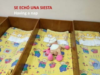 SE ECHÓ UNA SIESTA
Having a nap
 