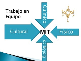Cultural
Biológico
Químico
Físico
MIT
Trabajo en
Equipo
 