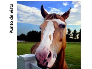 Puntos de vista
Punto
de
vista
 