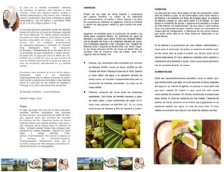 El coco es un semilla comestible, obtenida             VARIEDAD
del cocotero, la palmera más cultivada a nivel                                                                     COSECHA
mundial. Tiene una cáscara exterior gruesa y                                                                       La cosecha del coco varía según el tipo de producción, sobre
                                                       Propio de las islas de clima tropical y subtropical
fibrosa (mesocarpio) y otra interior dura, vellosa y                                                               todo de febrero a julio. Si se comercializa como fruta fresca o
                                                       del océano Pacífico, su cultivo se ha extendido
marrón (endocarpio) que tiene adherida la pulpa                                                                    se destina a la industria con fines de envasar agua, la cosecha
                                                       por Centroamérica, el Caribe y África tropical. Los tipos
(endospermo), que es blanca y aromática. Mide                                                                      se efectúa cuando el coco tiene entre 5 y 6 meses. En esta
                                                       de cocoteros se clasifican en gigantes, enanos e híbridos
de 20 a 30 cm y llega a pesar 2,5 kg.                                                                              época el contenido de azúcar y agua es muy elevado y el sabor
                                                       y, dentro de cada grupo, existe un gran número de varie-
                                                                                                                   es más intenso. De todas formas, es coco seco o coco maduro
                                                       dades.
                                                                                                                   tiene una capacidad de gran duración mayor sin necesidad de
El principal producto exportado desde las distintas
                                                                                                                   ningún tipo de refrigeración, a diferencia de los cocos frescos,
zonas de cultivo es la copra sin procesar, seguida
                                                       Gigantes: se emplean para la producción de aceite y los     que duran varios días (o un mes), antes de madurarse (o ha-
del coco desecado. En ciertos países europeos,
                                                       frutos para consumo fresco. Su contenido de agua es         cerse secos).
encuentra su mejor salida el coco fresco; el prota-
                                                       elevado y su sabor poco dulce. Entre sus ventajas desta-
gonista indiscutible de ferias y verbenas y de
                                                       can el tamaño del fruto y el contenido elevado de copra.
común       uso    en   múltiples    preparaciones
                                                       Las variedades gigantes más cultivadas son: Gigante de
de repostería artesanal e industrial. El mercado                                                                   Si se destina a la producción de coco rallado, deshidratado o
                                                       Malasia (GML), Gigante de Renell (GRL) de Tahití, Gigan-
más       interesante    tanto    en     Asiacomo
                                                       te del Oeste Africano (GOA) de Costa de Marfil, Alto de     copra para la extracción de aceite, la cosecha se realiza cuan-
en Europa y Norteamérica es el del agua de co-
                                                       Jamaica, Alto de Panamá, Indio de Ceilán, Java Alta,
co envasada; de gran aceptación y mayor deman-                                                                     do los cocos caen al suelo o cuando uno de los cocos de un
                                                       Laguna, Alto de Sudán, etc.
da cada año. El agua de coco no debe ser con-
fundida con la leche de coco, ya que la leche de                                                                   racimo está secos. El coco rallado es utilizado como cobertor o
coco se obtiene exprimiendo la pulpa y el agua de
                                                       •
                                                                                                                   ingrediente para pasteles o tortas. Estos cocos secos permane-
coco se encuentra naturalmente en su cavidad               Enanos: las variedades más cultivadas son Amarillo
interior.                                                                                                          cen en la planta durante 12 meses.
                                                           de Malasia (AAM), Verde de Brasil (AVEB) de Río
                                                           Grande del Norte, Naranja Enana de la India. Debido     ALIMENTACIÓN
El nombre coco proviene de la era de los descu-
brimientos,      pues     a     los     explorado-         al buen sabor del agua y el pequeño tamaño de
resportugueses que lo trajeron a Europa su super-                                                                  Debe ser característicamente aromático como el melón, aun-
ficie marrón y peluda les recordaba a las historias        estos cocos, se emplean fundamentalmente para la
sobre el Coco que se les cuenta en España y                producción de bebidas envasadas. La copra es de         que menos fuerte que éste. Si no se escucha el típico chapoteo
Portugal a los niños pequeños para asustarles.                                                                     del agua en su interior al agitarlo, es porque el coco está más
                                                           mala calidad.
                                                                                                                   que seco, pasado de maduro o seco, poco útil, sólo quizás
Su Nombre Científico: Cocos Nuciferas                  •   Híbridos: producto del cruce entre las anteriores
                                                                                                                   como semilla de cocotero. En dichas condiciones la pulpa suele
                                                           variedades. Son frutos de tamaño mediano o gran-
Nombre Vulgar: Coco                                                                                                estar rancia. El coco se conserva por dos meses. Después de
                                                           de, buen sabor y buen rendimiento de copra. El hí-
                                                                                                                   abierto, se ha de consumir en el mismo día o guardarse en un
                                                           brido más cultivado es MAPAN VIC 14; un cruce
Origen                                                                                                             recipiente tapado con agua, no más de cinco días. El coco
                                                           entre Enano de Malasia y Alto de Panamá y Colom-
El lugar de origen del coco es un tema discutido,                                                                  rallado se conserva dos días en una bolsa de plástico cerrada.
mientras muchos consideran que proviene
de Asia del Sur, concretamente del delta del Gan-
ges, algunos dicen que proviene del noroeste
de América del Sur. Registros fósiles de Nueva
Zelanda indican que plantas similares más peque-
ñas crecieron allí al menos hace 15 millones de
años. También existen fósiles más antiguos des-
cubiertos en Kerala, Rajastán, Thennai en Tamil
Nadu        a     orillas    delPalar,      Then-
pennai, Thamirabharani, Río Kaveri y laderas en
la       frontera      de     Kerala,Konaseema-
Andharapradesh, Maharashtra (todo ello en
la India) aunque los más antiguos conocidos pro-
vienen de Khulna, en Bangladesh.
 