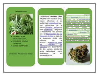 LA MARIHUANA
El

ALUMNO: RONY
SALAVERRY VERA
PROFESOR: RONALD
TALAVERA
CURSO: COMPUTO I

Universidad Privada Cesar Vallejo

Losterminos cannabis y ma
rihuana entre muchos otros,
hacen referencia a las
sustancias psicoactivas que
son consumidas de la
planta Cannabis sativa con
fines recreativos, religiosos
y medicinales. De acuerdo
con la Organización de las
Naciones Unidas se trata de
la sustancia ilícita más
utilizada
en
el
2
mundo. La regulación legal
del
consumo
de
cannabisvaría dependiendo
de los países, existiendo
tanto
detractores
como
defensores
de
su
despenalización

compuesto

químico psicoactivo predominante
cannabis

es

en

el

el tetrahidrocannabinol,

también conocido por sus siglas, THC. El
cannabis contiene más de cuatrocientos
compuestos
ellos

al

químicos
menos

diferentes, entre
sesenta

y

seis cannabinoides aparte del THC, tales
como

el cannabidiol (CBD),

el cannabinol (CBN)
la tetrahidrocannabivarina (THCV),

o
que

tienen otros efectos distintos a los del THC,
y también actúan en el sistema nervioso.

 