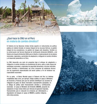 ¿Qué hace la ONU en el Perú 
en materia de cambio climático? 
El Sistema de las Naciones Unidas brinda soporte en instrumentos de política 
pública en materia forestal, el manejo integral de los recursos hídricos, la gestión 
integral de los ecosistemas y la gestión de riesgos ante desastres. También en 
la conformación del Servicio Nacional de Certificación Ambiental (SENACE), y del 
Sistema de Impacto Ambiental (SEIA) para el diseño e implementación de los planes 
nacionales, regionales y sectoriales de adaptación y mitigación al cambio climático 
y el desarrollo sostenible en el Perú. 
La ONU desarrolla una serie de proyectos bajo el enfoque de adaptación y 
mitigación al cambio climático en ecosistemas de sierra, selva y costa. Apoya las 
estrategias nacionales y regionales de seguridad alimentaria, recursos naturales, 
cambio climático y biodiversidad, así como convenios de asistencia técnica 
con los organismos especializados del sector público a fin de fortalecer las 
capacidades nacionales. 
Por su parte, el Banco Mundial apoya al Gobierno del Perú en distintas 
modalidades tales como, por ejemplo, trabajo analítico en apoyo al Ministerio 
de Economía y Finanzas para que los sectores identifiquen sus acciones de 
mitigación de gases de efecto invernadero nacionalmente apropiadas, en 
el diálogo de política sobre financiamiento climático y contribuciones 
nacionales en apoyo al Ministerio del Ambiente (MINAM), proyectos de 
adaptación al mayor stress hídrico por retroceso de glaciares tropicales, 
financiamiento para la reducción de emisiones por deforestación y 
degradación de bosques en apoyo al MINAM y pueblos indígenas, 
entre otras acciones. 
 