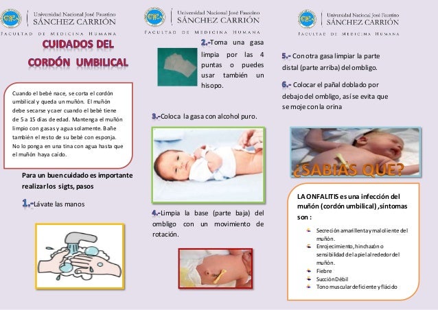 Triptico Cordon Umbilical Triptico Cordon Umbilical