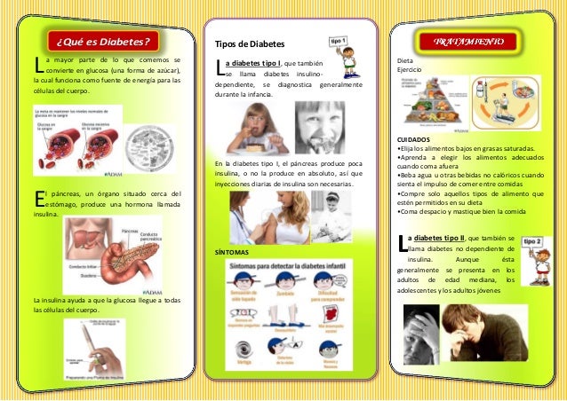 TRIPTICO DE DIABETES