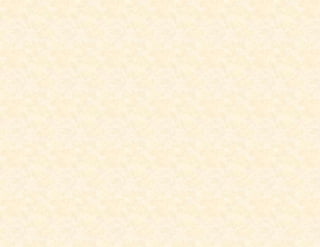 Triptico Metodos Anticonceptivos