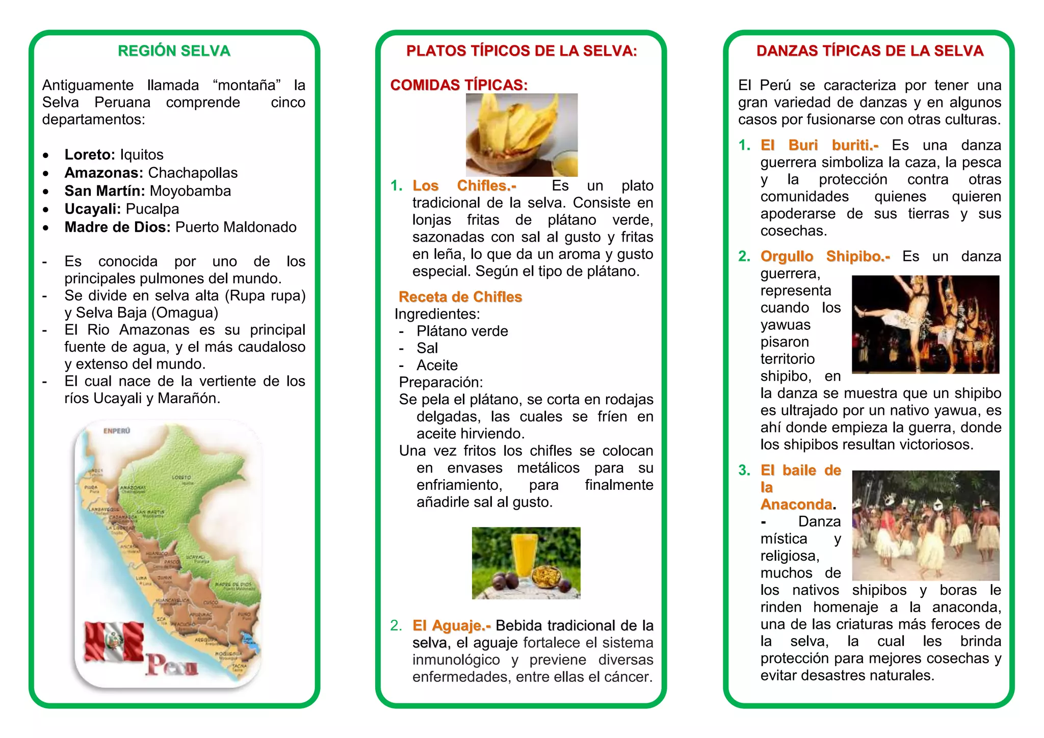 Triptico-Region-Selva.doc