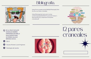 12 pares
craneales
Bibliografia.
https://www.academia.edu/36136211/Patolog%C3%A
Da_De_Los_Pares_Craneales
https://fisiologia.facmed.unam.mx/wp-
content/uploads/2021/10/UTI-practica7-Anexo-1.-
Neuroanatomia-y-exploracion-de-pares-
craneales.pdf
DE LA CRUZ CHICUATE
GONZALEZ RAMIREZ
HERNANDEZ ESCAMILLA
GALAZ MONTEYANO
GUTIERREZ GALAVIZ
MIRANDA DAVILA
Azuara Alvarez Lucia Engracia
Patologia del adulto
352-2
 