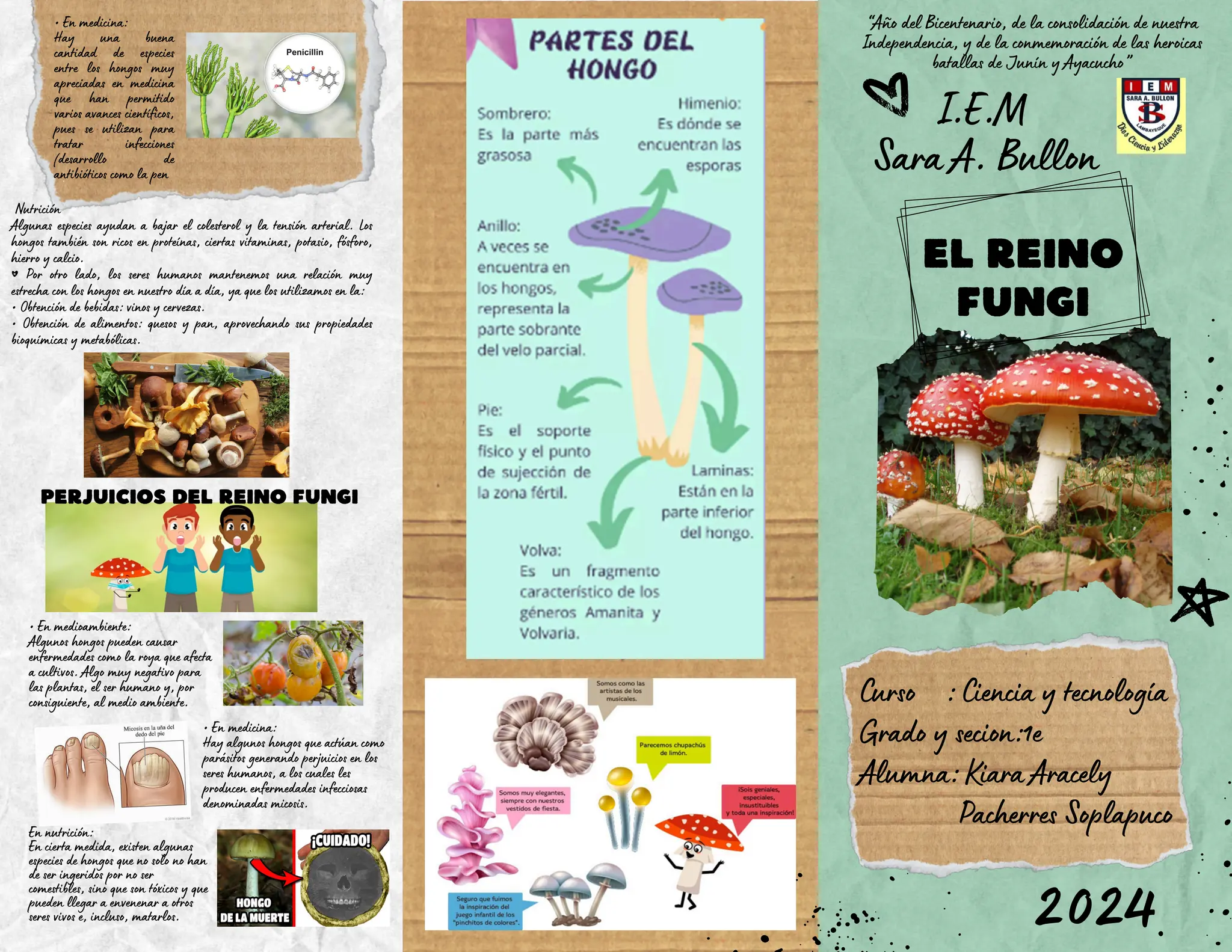 TRIPTICO DEL REYNO FUNGI, CARACTERISTICAS | PDF