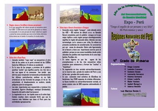  Region Janca o Cordillera (nieves perpetuas)
Es el piso geográfico del relieve peruano se encuentra entre
los 4.800 – 6.768 msnm es la zona de los glaseares su relieve
es escarpado. Es la zona peruana de menor cobertura vegetal
y animal los únicos animales que viven en los límites inferiores
de las nieves son: el cóndor; la vizcacha y la vicuña macho.
 Selva alta o Rupa Rupa.
 Llamada también “rupa rupa” se encuentran al otro
lado de los andes en la parte oriental de los 1.000m
hasta los 400msnm. El relieve es accidental.
 Es la zona de los pongos y proviene de la palabra
quechua “punko” que significa puerta. Los ríos van a
dar sus aguas al rio amazonas han tenido que
abrirse paso rompiendo (erosionando profundamente)
los últimos contrafuertes andinos en su lado
oriental.asi se han formado los pongos; el rio se ha
estrechado, el desplazamiento se acelera, siendo
peligroso para la navegación.
 Los más importantes son: manseriche y rentema (rio
marañón), Aguirre (Huallaga), mainique (Urubamba),
boquerón del padre abad (yuracyacu).
 La vegetación no es tan tupida como en la selva baja.
Existen muchos claro consuelo fértil, que son la
reserva más fabulosa que tiene el Perú para las
actividades agropecuarias
 Selva baja o llanura Amazónica u Omagua
 Conocida como región “omagua”, está ubicada entre
los 400 – 80 metros de altitud s.n.m. es llamada
llanura amazónica, pero la palabra omagua es la que
mejor tipifica a esta región porque etimológicamente
significa la región del pescado dulce. Además con esa
terminología se le conoce a una tribu. Su relieve no
presenta accidentes de consideración. Se caracteriza
por ser zonas de elevación. Sobre sale ligeramente
de la llanura y tiene una importancia enorme para el
poblador; porque no son zonas inundables donde estén
ubicados los pueblos más importantes de la zona baja:
Iquitos, Pucallpa, etc.
 En estos lugares en que las aguas de las
precipitaciones y de los ríos encuentran sitios
propicios para estancarse y formar las “cochas” o
“tispicheas”.
 Su vegetación es rica, variada extraordinariamente,
es la reserva más grande de madera del Perú y una
de las más grandes del mundo entero.
 En una extensión total selvática de 65millnes de
hectáreas, hay 2500 especies de árboles diferentes,
su fauna también es extraordinariamente variada, en
peces existen más de 600 especies sobresaliendo el
paiche.
4º Grado de Primaria
Expositores:
 Diego Linares
 Leandro Cuzcano
 Siomara Sousa
 Leonardo Gervacio
 Ximena Germana
 Gilmer Ludeña
 Made Timoteo
 Isabel Munguí a
 Valeria Rondón
Tutora :
Luz Marina flores C.
 