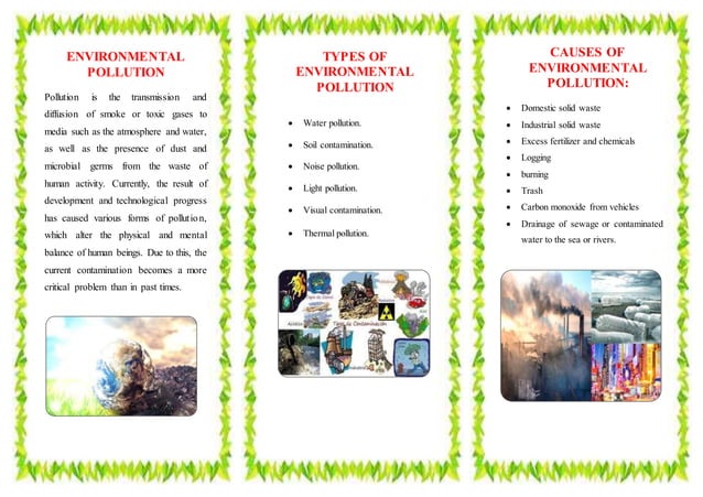 Informacion Sobre La Contaminacion En Ingles