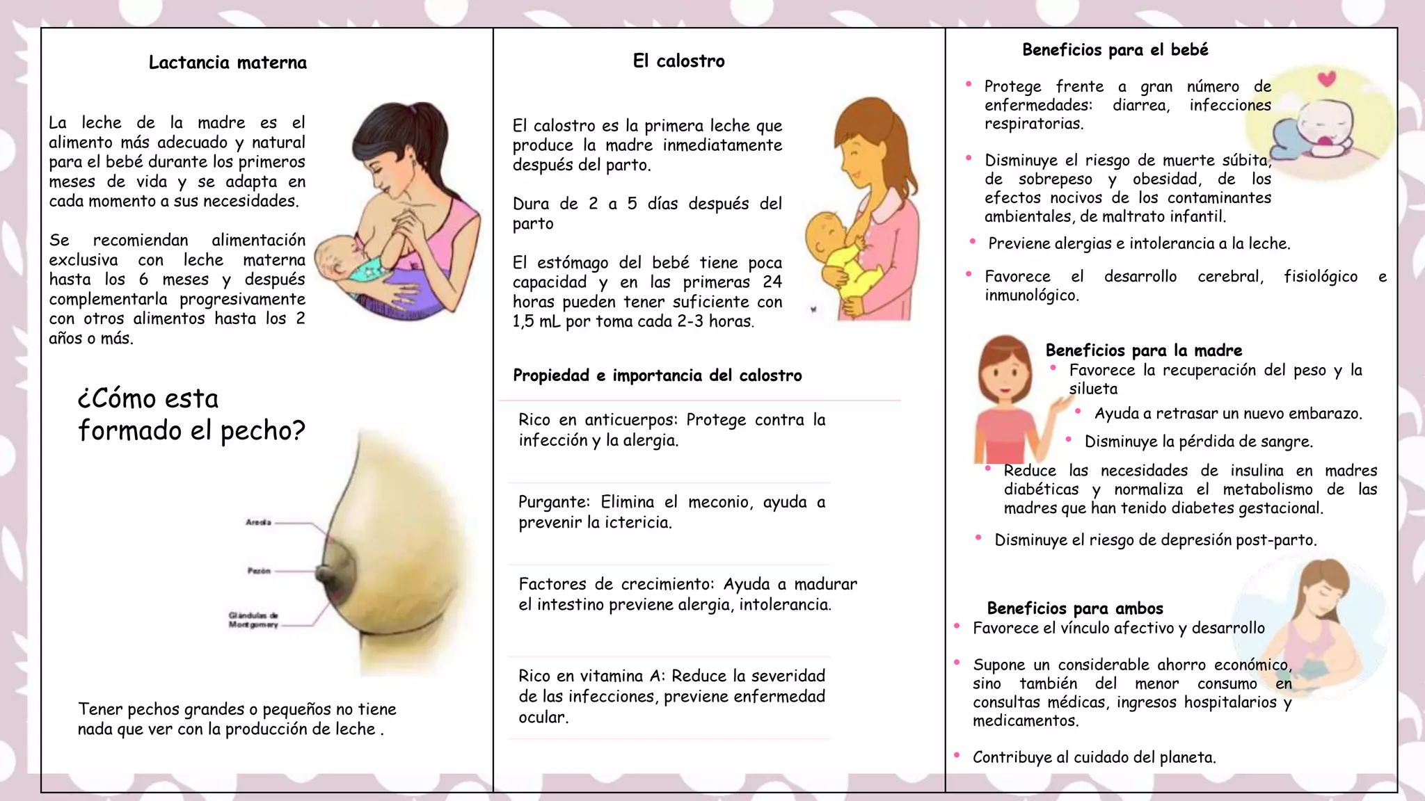 Triptico Lactancia materna.pptx