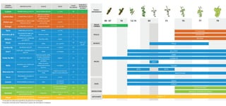 NOMBRE
COMERCIAL
MATERIA ACTIVA PLAGAS DOSIS
PLAZO
SEGURIDAD
NUM APLIC.
(INTERVALO
EN DÍAS)
Custom PENDIMETALINA 33% [EC] P/V MALAS HIERBAS ANUALES 4 - 6 l/ha NP 1
Cythrin Max CIPERMETRIN 50% [EC] P/V
Cigarrero, Cochinillas,
Mosquito verde, Piral,
polilla del racimo
0,06 l/ha 21 1
Daskor 440
CIPERMETRIN 4% + METIL CLORPI-
RIFOS 40% [EC] P/V
Cochinillas, piral, polilla
de la vid, trips
0,75 l/ha 21 1
Deltagri DELTAMETRIN 2,5% [EC] P/V POLILLAS DEL RACIMO 0,5 - 0,7* l/ha 7 3
Pyrus PIRIMETANIL 40% [SC] P/V Botritis 1,5-2 l/ha 21 -
Alcocobre 38 SC
OXICLORURO DE COBRE 38%
(EXPR. EN CU) [SC] P/V
Bacteriosis, mildiu 3-4 l/ha 15 -
Bellatrix
CIMOXANILO 4% + MANCOZEB
40% [WP] P/P
Black-Rot, mildiu 3 Kg/ha 15 -
Dimix DIMETOMORF 50% [SC] P/V Mildiu 0,3- 0,34 l/ha*
28 Entre 1 y 5*
(4-10)**
Cumbre 80 AZUFRE 80% [WG] P/P Erinosis, araña, oidio 2 - 5 Kg/ha* NP -
Java F
FOLPET 48% + VALIFENALATO 6%
[WG] P/P
Mildiu 1,5-1,8 Kg/ha 42 1
Folder 80 WG FOLPET 80% [WG] P/P
Black-Rot, botritis, mildiu,
fomopsis, podredumbre
negra, Enrojecimiento
parasitario
1,5Kg/ha* 28 10
Betix
METALAXIL 10% + FOLPET 40%
[WP] P/P
Mildiu, con acción
complementaria contra
black-rot.
2-2,5 kg/ha* NP 4
Mancotan 80 MANCOZEB 80% (ESP) [WP] P/P
Black-rot, escoriosis,
mildiu
1,5 Kg/ha en uva de mesa-
2Kg/ha en vid de vinificación*
28 3
Zarco
TEBUCONAZOL 25% [EW] P/V
(ESP.)
Botritis, Oidio 0,4 l/ha 21 1
Consist TRIFLOXISTROBIN 50% [WG] P/P Oidio
12,5-15 g/100l
máx 225 g/ha
30 4
Vacciplant Max LAMINARIN 4,5% [SL] P/V Oidio
1,5-3 l/ha en uva de mesa y
1- 2,6 L/ha vinificación*
NP 5 (7)
Amicofol
AMINOÁCIDOS con Boro (B), Man-
ganeso (Mn)y Zinc (Zn).
Biosolution
Emplear 200-300 cc/ 100L de
agua*
NP Entre 2 y 3
Silwet
heptametiltrisiloxano, polialquil
óxido modificado, 84.6% [EC] p/v
SUPERDISPERSANTE 150-200 ml/ha NP -
Consultar las codiciones específicas de aplicación en la etiqueta.
Consultar intervalos entre tratamientos y plazos de reentrada en la etiqueta.
*
**
00 - 07 10 12-14 73 7565 77 79
CYTHRIN MAX
DASKOR 440
DELTAGRI
AMICOFOL: ENGORDE DE GRANO
SILWET L-77
VACCIPLANT MAX
PYRUS
BELLATRIX
DIMIX
CUMBRE 80
JAVA F
FOLDER
ZARCO
CONSIST
CUSTOM
PLAGA /
ENFERMEDAD
POLILLA
MILDIU
OIDIO
BOTRITIS
MALAS
HIERBAS
BIOSOLUTION
ADYUVANTE
MANCOTAN 80
BETIXBETIX
 