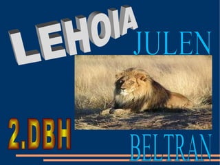 LEHOIA JULEN BELTRAN   2.DBH 