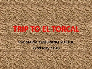 TRIP TO EL TORCAL
5ºA MARÍA ZAMBRANO SCHOOL
22nd May 2.013
 