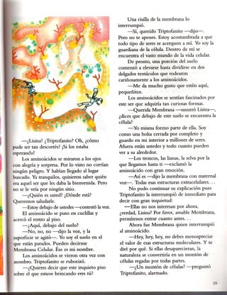 Una risilla de la membrana lo
                                                  interrumpió.
                                                       -Sí, querido Triptofanito -dijo-o
                                                  Pero no te apenes. Estoy acostumbrada a que
                                                  todo tipo de seres se acerquen a mí. Yo soy la
                                                  guardiana de la célula. Dentro de mí se
                                                  encuentra el vasto mundo de la vida celular.
                                                        De pronto, una porción del suelo
                                                  comenzó a elevarse hasta dividirse en dos
                                                  delgados tentáculos que rodearon
                                                  cariñosamente a los aminoácidos.
                                                        -Me da mucho gusto que estén aquí,
                                                  pequeñitos.
                                                        Los aminoácidos se sentían fascinados por
                                                  este ser que adquiría tan curiosas formas.
                                                        -Querida Membrana --susurró Lisina-,
                                                   ¿dices que debajo de este suelo se encuentra la
                                                   célula?
                                                        -Yo misma formo parte de ella. Soy
                                                   como una bolsa cerrada por completo y
    -¿Lisina? ¿Triptofanito? Oh, ¿cómo             guardo en mi interior a millones de seres.
pude ser tan descortés? ¡Si los estaba             Afuera están ustedes y todo cuanto pueden
esperando!                                         ver a su alrededor.
     Los aminoácidos se miraron a los ojos              -Los troncos, las lianas, la selva por la
con alegría y sorpresa. Por lo visto no corrían    que llegamos hasta ti -exclamó la
ningún peligro. Y habían llegado al lugar          aminoácido con gran emoción.
buscado. Ya tranquilos, quisieron saber quién           -Así es -dijo la membrana con maternal
era aquel ser que les daba la bienvenida. Pero     voz-o Todas esas estructuras extracelulares...
no se le veía por ningún sitio.                          No pudo continuar su explicación pues
     -¿Quién es usted? ¿Dónde está?                Triptofanito la interrumpió de inmediato para
Queremos saludarle.                                decir con gran inquietud:
     -Estoy debajo de ustedes--contestó la voz.       -Ellas no nos interesan por ahora,
     El aminoácido se puso en cuclillas y          ¿verdad, Lisina?Por favor, amable Membrana,
acercó el rostro al piso.                          permítenos entrar cuanto antes...
     -¿Aquí, debajo del suelo?                           Ahora fue Membrana quien interrumpió
     -No, no, no -dijo la voz, y la                al aminoácido.
superficie se agitó-. Yo soy el suelo en el              -Hey, hey, hey, no debes menospreciar
 que están parados. Pueden decirme                 el valor de esas estructuras moleculares. Y te
 Membrana Celular. Ése es mi nombre.               diré por qué. Si ellas desaparecieran, la
     Los aminoácidos se vieron otra vez con        naturaleza se convertiría en un montón de
 asombro. Triptofanito se ruborizó.                células regadas por todas partes.
     -¿Quieres decir que este inquieto piso              -¿Un montón de células?-preguntó
 sobre el que estuve brincando eres tú?            Triptofanito, alarmado.
                                                                                                19
 