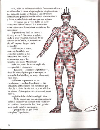 por supuesto mngun ser humano. Las estructuras el mar ~
     -Sí, miles de millones de células flotando en
extracelulares permiten que las células se unan entre sí
                                                        0JU
tendidas sobre ~ati,erra:ninguna planta, ningún animal, y
                                                          ~
                                                           •.. _.•.
                                                                1
                                                                 _
                                                                    c.




y formen todos los tipos de cuerpos que existen.
     -De verdad que a veces hablo sin saber
-exclamó Triptofanito-. ¡Lasestructuras
extracelulares son la verdadera armazón de los
seres vivos!
      Triptofanito se llevó un dedo a la
frente y se rascó. Su mente se echó a
andar a gran velocidad. Después de un
instante de reflexión, el aminoácido
decidió exponer lo que estaba
pensando:
      -El cuerpo es como
una casa, las células son
 como los ladrillos, y esas
 estructuras son como el
 cemento que une a los
ladrillos, ¿no es así, Membrana?
      -Es una buena forma de explicado
-respondió el elástico ser.
      -Entonces -continuó Triptofanito-,
 debe de haber alguien que se encargue de
 acomodar los ladrillos y de verter el cemento
 entre ellos.
      -Vuelves a apresurarte en tus
 conclusiones -replicó Membrana-. Las
 estructuras extracelulares son materiales que
 salen de la célula. Nadie más las pone allí. Son
 las mismas células quienes se encargan de unirst
 entre sí.
      -¿Salen de la célula? -indagó Lisina.
      -Sí, lo mismo que muchas otras sustancia~
 Entre el interior y el exterior de la célula hay
 un continuo intercambio. Por cierto, gracias
 a eso podré dejados traspasarme.
      -¡Hagámoslo ya, por favor!
 -suplicó Triptofanito.




20
 