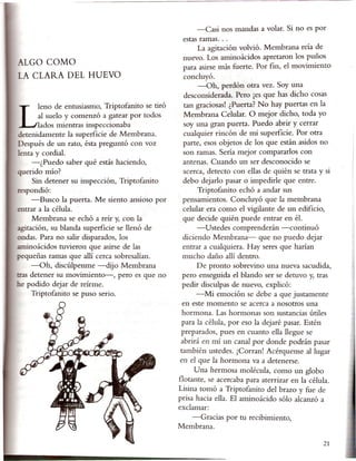 -Casi nos mandas a volar. Si no es por
                                                    estas ramas ...
                                                         La agitación volvió. Membrana reía de
                                                    nuevo. Los aminoácidos apretaron los puños
ALGO COMO
                                                    para asirse más fuerte. Por fin, el movimiento
LA CLARA DEL HUEVO                                  concluyó.
                                                         -Oh, perdón otra vez. Soy una
                                                    desconsiderada. Pero ¡es que has dicho cosas
                                                    tan graciosas! ¿Puerta? No hay puertas en la
       al suelo y comenzó a gatear por todos        Membrana Celular. O mejor dicho, toda yo
Lleno de entusiasmo, Triptofanito
   lados mientras inspeccionaba          se tiró
                                             .      soy una gran puerta. Puedo abrir y cerrar
detenidamente la superficie de Membrana.            cualquier rincón de mi superficie. Por otra
Después de un rato, ésta preguntó con voz           parte, esos objetos de los que están asidos no
lenta y cordial.                                    son ramas. Sería mejor comparados con
     -¿Puedo saber qué estás haciendo,              antenas. Cuando un ser desconocido se
querido mío?                                        acerca, detecto con ellas de quién se trata y si
     Sin detener su inspección, Triptofanito        debo dejado pasar o impedide que entre.
respondió:                                               Triptofanito echó a andar sus
     -Busco la puerta. Me siento ansioso por        pensamientos. Concluyó que la membrana
entrar a la célula.                                 celular era como el vigilante de un edificio,
     Membrana se echó a reír y, con la              que decide quién puede entrar en él.
agitación, su blanda superficie se llenó de              -Ustedes comprenderán -continuó
ondas. Para no salir disparados, los                diciendo Membrana-       que no puedo dejar
allÚnoácidos tuvieron que asirse de las             entrar a cualquiera. Hay seres que harían
pequeñas ramas que allí cerca sobresalían.          mucho daño allí dentro.
     -Oh,    discúlpenme -dijo Membrana                  De pronto sobrevino una nueva sacudida,
tras detener su movimiento-,     pero es que no     pero enseguida el blando ser se detuvo y, tras
he podido dejar de reírme.                          pedir disculpas de nuevo, explicó:
     Triptofanito se puso serio.                         -Mi emoción se debe a que justamente
                                                    en este momento se acerca a nosotros una
                                                    hormona. Las hormonas son sustancias útiles
                                                    para la célula, por eso la dejaré pasar. Estén
                                                    preparados, pues en cuanto ella llegue se
                                                    abrirá en mí un canal por donde podrán pasar
                                                    también ustedes. ¡Corran! Acérquense al lugar
                                                    en el que la hormona va a detenerse.
                                                         Una hermosa molécula, como un globo
                                                   flotante, se acercaba para aterrizar en la célula.
                                                   Lisina tomó a Triptofanito del brazo y fue de
                                                   prisa hacia ella. El aminoácido sólo alcanzó a
                                                   exclamar:
                                                      -Gracias    por tu recibimiento,
                                                   Membrana.

                                                                                                   21
 