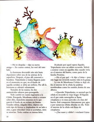 -No te despidas -dijo su nueva                       Rodeado por aquel espeso líquido,
amiga-o En cuanto entren, los veré del otro          Triptofanito tuvo un súbito recuerdo. Volvió
lado.                                                a sentirse como en aquellos días cuando vivía
     La hormona descendió aún más hasta              en el interior del huevo, como parte de la
depositarse sobre una de las antenas de la           familia Proteína.
superficie. Después, el piso allí comenzó a               -No sé por qué -le dijo a Lisina- pero
hundirse. Triptofanito y Lisina llegaron justo       este lugar me recuerda nuestra vida en la granja.
en el momento en que, en el fondo de                      La voz de Membrana Celular se dejó oír.
aquella cavidad, se abría un orificio. Por allí la   En el interior de la célula las palabras
hormona se adentró velozmente.                       reverberaban como los sonidos dentro de una
     Tomados de las manos, los dos                   alberca.
aminoácidos saltaron para perseguirla.                    -Querido     Triptofanito, es normal que la
     Todo cambió en cuanto ingresaron a la           célula te recuerde tu viejo hogar. El líquido
Célula. Enseguida, Membrana volvió a cerrarse        en el que están sumergidos se llama
sobre ellos, dejándolos inmersos en lo que           citoplasma y es muy parecido a la clara del
parecía el fondo de un océano sin límites.           huevo. Está compuesto básicamente por agua
Grandes esferas, delgados hilos, objetos con         y por sustancias sólidas diluidas en ella. Todo
todo tipo de formas se desplazaban de un lado a      el interior de la célula está lleno de
otro, a gran velocidad. Unos se acortaban, otros     citoplasma.
se retorcían. Todos estaban en intensa labor.             -¡Tan suave y cálido! -exclamó      Lisina
                                                                                                I


22
 