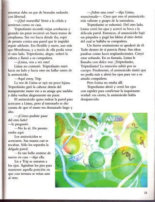 mientras daba un par de brazadas nadando               -¿Sabes una cosa? -dijo Lisina,
con libertad.                                     emocionada-o Creo que eres el aminoácido
     -¡Qué maravilla! Venir a la célula y         más valiente y guapo de la naturaleza.
sentirnos como en casa.                                Triptofanito se ruborizó. Del otro lado,
     Triptofanito recordó viejas acrobacias y     Lisina .cerró los ojos y acercó su boca a la
girando sin parar recorrió un buen tramo de       delicada pared. Entonces, el aminoácido bajó
citoplasma. Sin ver hacia dónde iba, topó         sus párpados y pegó los labios al sitio detrás
de pronto contra una pared que le impidió         del cual se hallaba su compañera.
seguir adelante. Era flexible y suave, aun más         Un fuerte sentimiento se apoderó de él.
que Membrana, y a través de ella podía verse      Todo dentro de sí parecía flotar. Sus ideas
el otro lado. Triptofanito, alegre, volteó la     pasaban como luces resplandecientes. Creyó
cabeza y llamó a su compañera.                    estar soñando. En su fantasía, Lisina le
     -¡Lisina, ven a ver esto!                    llamaba con dulce voz: ¡Triptofanito,
     Lisina no contestó. Triptofanito miró        Triptofanito! La emoción subió por su
hacia un lado y hacia otro sin hallar rastro de   cuerpo. Finalmente, el aminoácido sintió que
la aminoácido.                                    no podía más y abrió los ojos para ver a su
      -Aquí estoy, Trip.                          amada compañera.
      La voz de Lisina se oyó un poco lejana.          Pero Lisina no estabi a11l.
Triptofanito giró la cabeza: detrás del                Triptofanito abrió y cerró los ojos
transparente muro vio a su amiga que nadaba       con rapidez para confirmar la inquietante
y daba vueltas alegremente sin parar.             verdad: era cierto, la aminoácido había
      El aminoácido quiso rodear la pared para    desaparecido.
acercarse a Lisina, pero alintentarlo se dio
cuenta de que el muro era demasiado largo y
alto.
     -¿ Cómo pudiste pasar
del otro lado?
-le   preguntó.
     -No lo sé. De pronto
estaba aquí.
     Los aminoácidos se
acercaron. Sus manos casi se
tocaban. Sólo los separaba la
delgada pared.
     -Es tan bello sentirse de
nuevo en casa -dijo ella.
     Lis y Trip se miraron a
los ojos. Agitaban los pies para
mantener aquella posición en
que con ternura se veían uno
al otro.



                                                                                              23
 