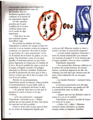 .es misterios, pero ninguno les
pareció tan sorprendente como los
del Cerebro. Por eso
decidieron quedarse allí y
colaborar en la misión de
tan importante órgano.
     Un día, mientras
paseaban por la gran
cordillera de la corteza
 cerebral, Lisina cayó
 en la cuenta de algo
importante.
      -Hoy hace un mes
 que comenzó nuestro
maravilloso viaje.
      Al escuchar las palabras de Lisina,
Triptofanito se detuvo. Su cuerpo se llenó de
 emoción y en un instante cientos de imágenes       corría por allí. Mientras mojaba su mano y
 acudieron a su memoria. Recordó el tiempo          miraba a lo lejos, la aminoácido preguntó:
 en que Lisina, él y otros aminoácidos vivían            -¿ Cómo estarán Aspartito, Glutamito y
 en el interior de un huevo de gallina, en una      todos los demás aminoácidos que entraron
 granja. Vio de pronto, como en una gran            con nosotros al cuerpo? A veces lamento que
pantalla, el momento preciso en que todos           se hayan quedado a vivir en otros condados.
juntos ingresaron al cuerpo por el condado de            Triptofanito respondió:
la boca. Revivió también los viajes a través de          -Los aminoácidos debemos colaborar en
la sangre, la llegada a la piel y los peligros      la misión del cuerpo humano. Es nuestro
 afrontados en diversos condados. Finalmente        destino y podemos alegrarnos de ello. Sin
recordó la declaración de amor que le hizo a        embargo, por más lejos que estemos unos de
Lisina y el beso que ella le dio al aceptar vivir   otros, nunca dejaremos de ser una gran
con él en el Cerebro.                               familia.
     Absorto en sus pensamientos,                        -¡La familia Proteína! -exclamó Lisina,
Triptofanito quedó en silencio. Lisina percibió     reanimada.
el ensimismamiento en que había caído su                 La hermosa aminoácido sacó del agua
compañero y, tomándolo del brazo, le dijo:          una molécula reluciente que pasaba por allí
     -Sí, querido. Hoy hace un mes que el           y, sosteniéndola entre sus dedos, dijo
gra~ero se comió el huevo en el que                 sonriendo:
vivíamos.                                                -¡Seguro que son tan dichosos como lo
     -¿ Un m~ solamente? -preguntó                  somos tú y yo en el cerebro!
Triptofanito, volviendo en sí-o Podría                   Triptofanito se sentó a un lado de Lisina
apostar que ya han pasado 20 años. Son tantas       y la tomó de la mano.
las cosas que nos han sucedido ...                       -¿Sabes, Lis? -dijo-.    Mientras
     Lisina se sentó sobre el piso, justo alIado    vivíamos dentro del huevo, en familia,
de un arroyo· de transparente líquido que           siempre estaba yo inquieto. Anhelaba

10
 