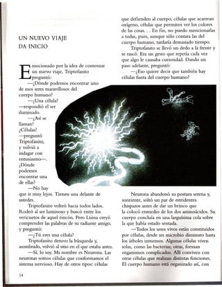 que defienden al cuerpo, células que acarrean
                                                     oxígeno, células que permiten ver los colores
                                                     de las cosas... En fin, no puedo mencionadas
UN NUEVO VIAJE                                       a todas, pues, aunque sólo contara las del
                                                     cuerpo humano, tardaría demasiado tiempo.
DA INICIO                                                 Triptofanito se llevó un dedo a la frente y
                                                     se rascó. Era un gesto que repetía cada vez
                                                     que algo le causaba curiosidad. Dando un
                                                     paso adelante, preguntó:
      un nuevo viaje, Triptofanito                        -¿Eso quiere decir que también hay
Emocionado por la idea de comenzar
      preguntó:                                      células fuera del cuerpo humano?
    -¿Dónde     podemos encontrar uno
de esos seres maravillosos del
cuerpo humano?
     -¿Una célula?
-respondió  el ser
iluminado.
     -¿Así se
llaman?
¿Células?
-preguntó
Triptofanito,
y volvió a
indagar con
entusiasmo-o
¿Dónde
podemos
encontrar una
de ellas?
     -No hay
que ir muy lejos. Tienen una delante de                   Neurona abandonó su postura serena y,
ustedes.                                             sonriente, soltó un par de estridentes
     Triptofanito volteó hacia todos lados.          chispazos antes de dar un brinco que
Rodeó al ser luminoso y buscó entre los              la colocó enmedio de los dos aminoácidos. Su
vericuetos de aquel rincón. Pero Lisina creyó        cuerpo concluía en una larguísima cola sobre
comprender las palabras de su radiante amigo~        la que había estado sentada.
y preguntó:                                               -Todos los seres vivos están· constituidos
     -¿Tú eres una célula?                           por células, desde un microbio diminuto hasta
     Triptofanito detuvo la búsqueda y,              los árboles inmensos. Algunas células viven
asombrado, volvió al sitio en el que estaba antes.   solas, como las bacterias; otras, forman
     -Sí, lo soy. Mi nombre es Neurona. Las          organismos complicados. Allí conviven con
neuronas somos células que conformamos el            otras células que realizan distintas funciones.
sistema nervioso. Hay de otros tipos: células        El cuerpo humano está organizado así, con

14
 