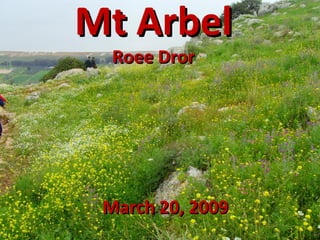 Mt Arbel Roee Dror March 20, 2009 