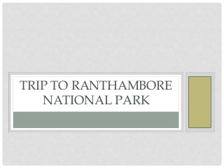 TRIP TO RANTHAMBORE
NATIONAL PARK
 