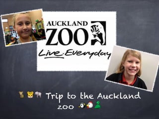 🐒🐯🐘 Trip to the Auckland
       zoo 🐧🐔🐍
 
