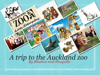 A trip By BhabanAuckland zoo
       to the and Shaquille
 
