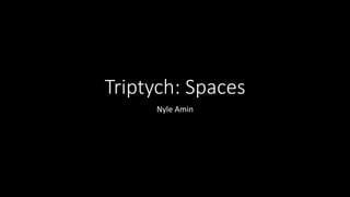 Triptych: Spaces
Nyle Amin
 