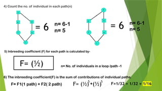Inbreeding Path Inbreeding Depression: Understanding the Genetic Consequences | PPTX