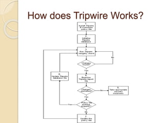 How does Tripwire Works?
 