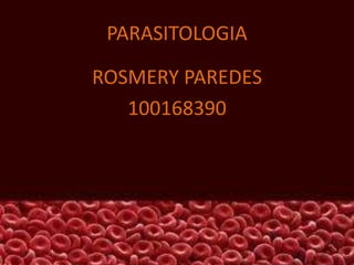 PARASITOLOGIA 
ROSMERY PAREDES 
100168390 
 