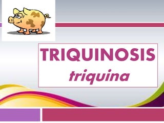 TRIQUINOSIS 
triquina 
 