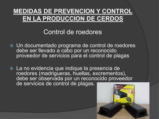 MEDIDAS DE PREVENCION Y CONTROL
  EN LA PRODUCCION DE CERDOS

              Control de roedores
   Un documentado programa de control de roedores
    debe ser llevado a cabo por un reconocido
    proveedor de servicios para el control de plagas

   La no evidencia que indique la presencia de
    roedores (madrigueras, huellas, excrementos),
    debe ser observada por un reconocido proveedor
    de servicios de control de plagas.
 