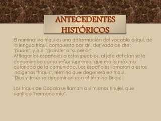 ANTECEDENTES
HISTÓRICOS
El nominativo triqui es una deformación del vocablo driqui, de
la lengua triqui, compuesto por dri, derivado de dre:
"padre", y qui: "grande" o "superior".
Al llegar los españoles a estos pueblos, al jefe del clan se le
denominaba como señor supremo, que era la máxima
autoridad de la comunidad. Los españoles llamaron a estos
indígenas "triquis", término que degeneró en triqui.
Dios y Jesús se denominan con el término Driqui.
Los triquis de Copala se llaman a sí mismos tinujei, que
significa "hermano mío".

 